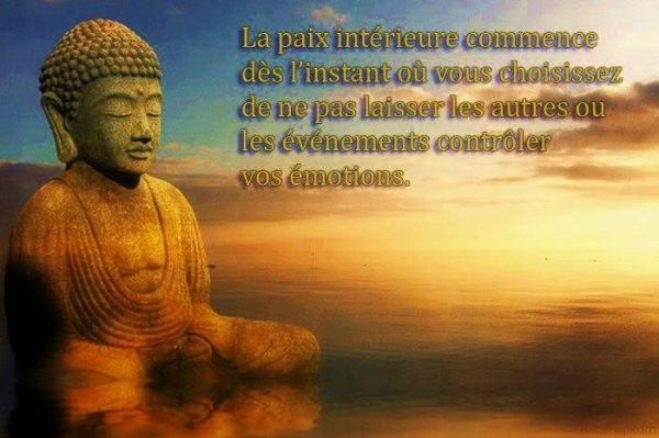 citation