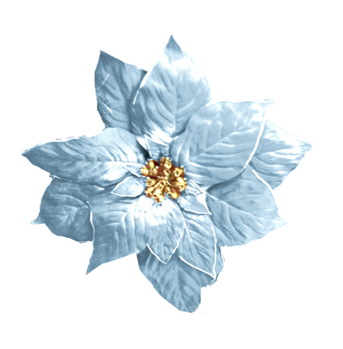 03df0832.png