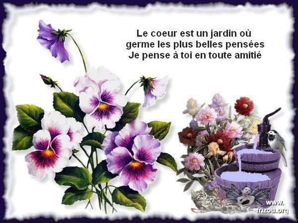 citation