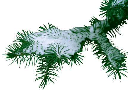 06d8f4c5.png