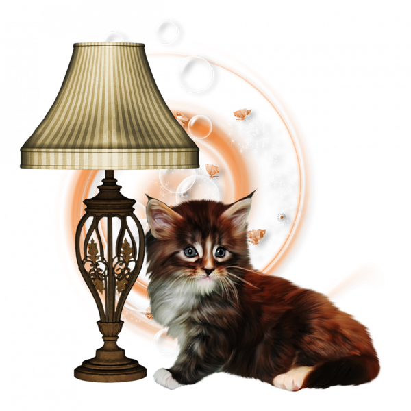 mon tube chat avec lampe pour vos créas