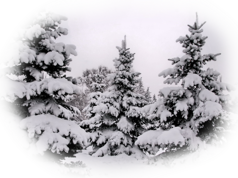 0_101b50_d2b64900_XXL.png