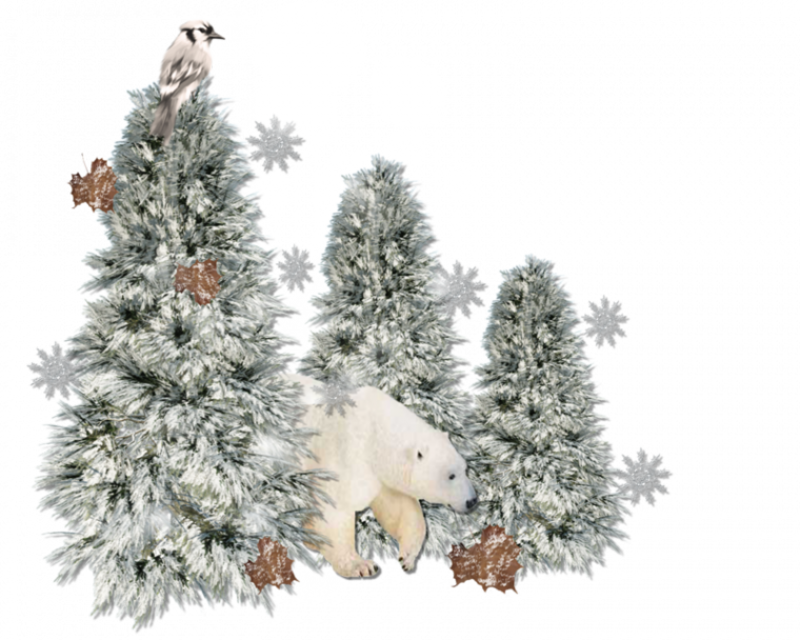 0_153d5d_641cbd43_X5L.png