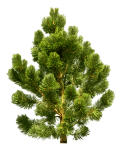 0_bdf27_983d96ac_L.png