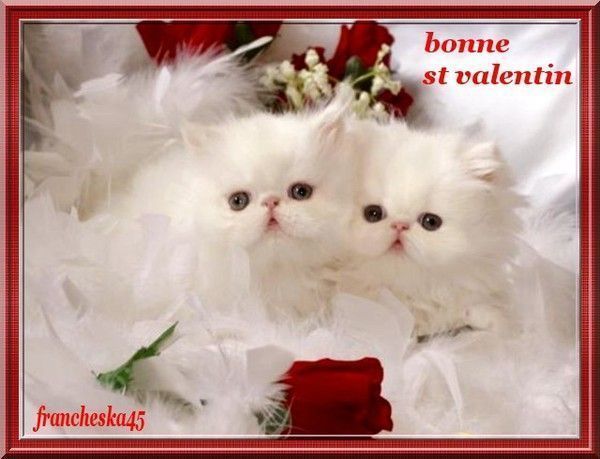 ma création st valentin kdo prennez si vous aimer