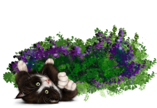 mon tube chat avec fleurs pour vos créas