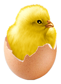 134904673_eq_easter_e33.png