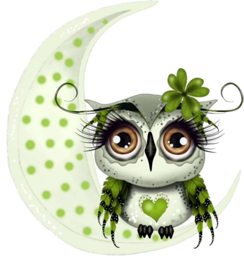 135666321_Irish_Owl_I_by_Alicia_Mujica__.png