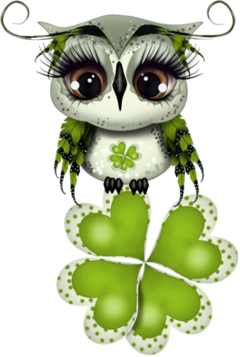 135666324_Irish_Owl_IV_by_Alicia_Mujica__.png