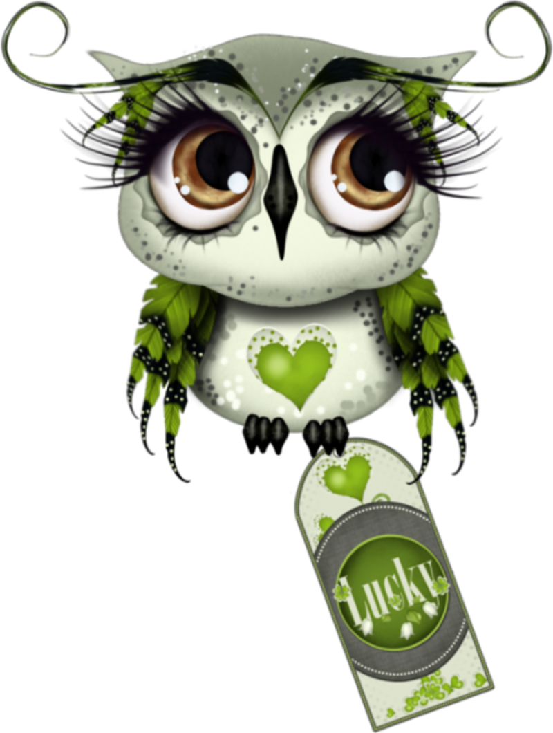 135666333_Irish_Owl_V_by_Alicia_Mujica__.png