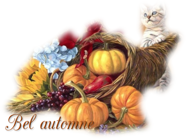 mon tube mot pour l'automne