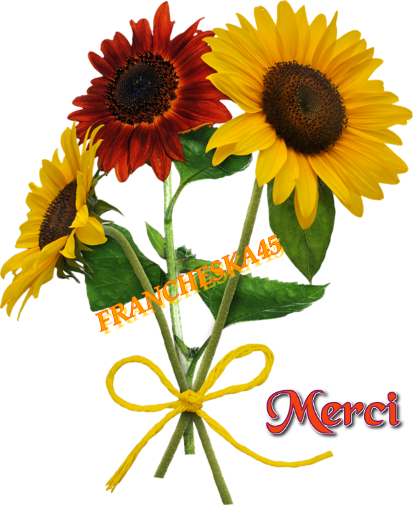 merci