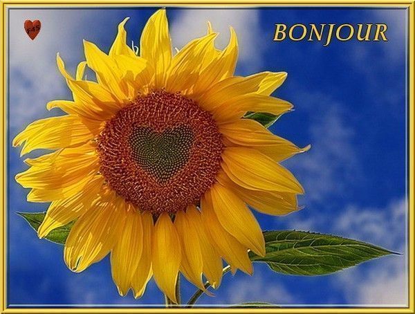 bonjour