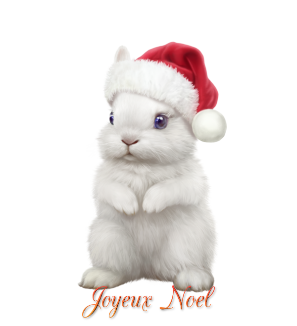 tube joyeux noël