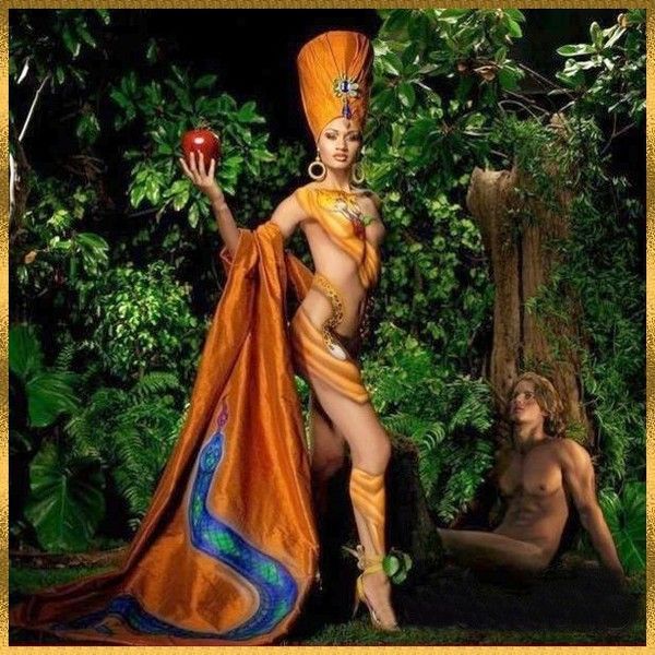 belle image