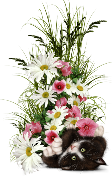 mon tube chat avec fleurs pour vos créas