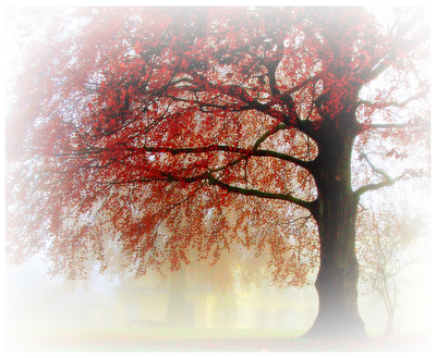 tube automne femme, filles, déco