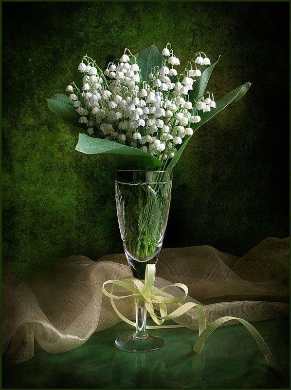 muguet