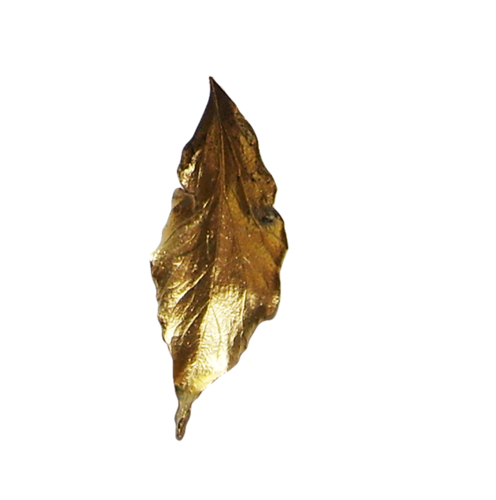 joli tube