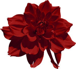 2e9b74a4.png