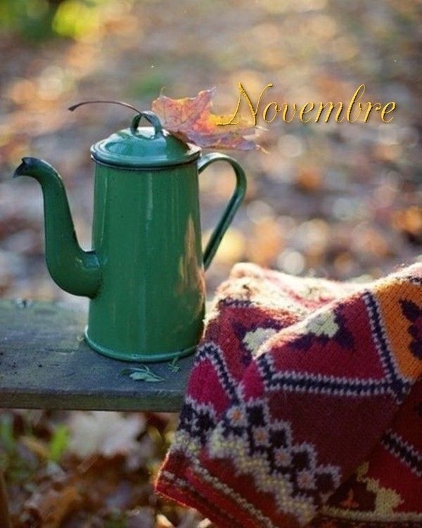 mois de novembre