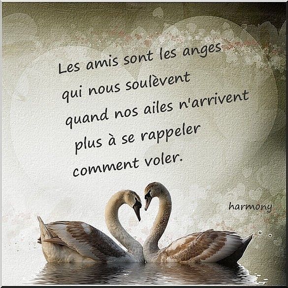 merci j'adore bisous