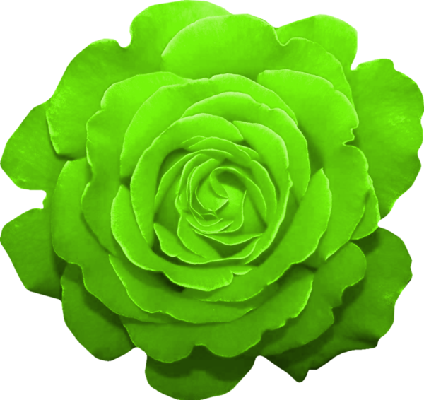 fleur vert