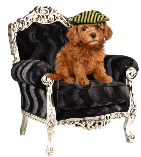 mon tube chien sur fauteuil pour vos créas