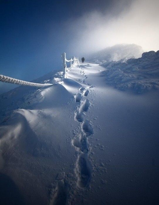 Paysage de neige