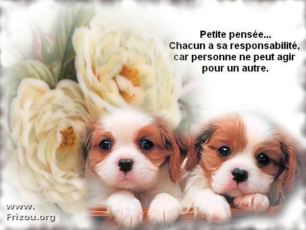 citation