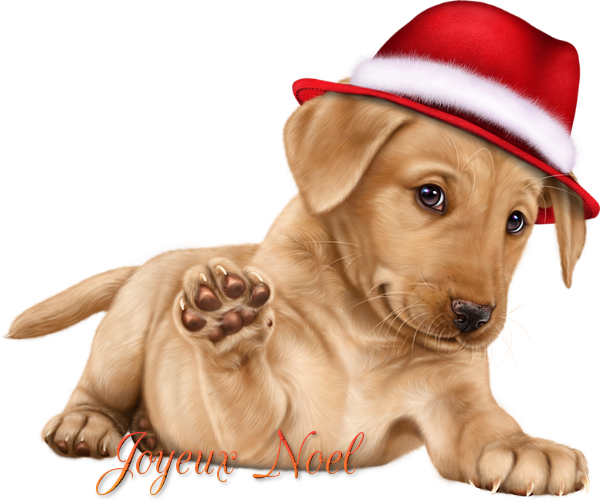 tube joyeux noël