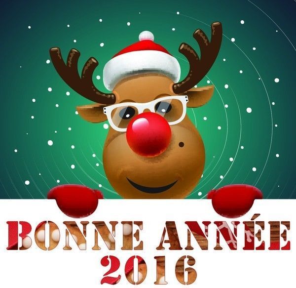 bonne année