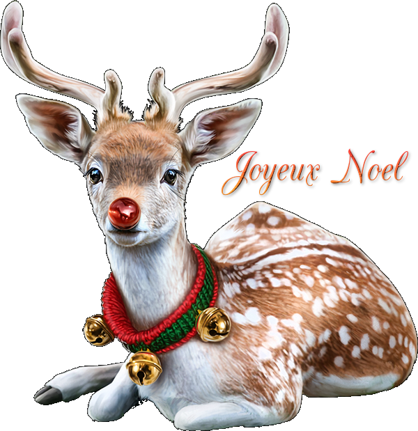 tube joyeux noël