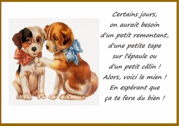 citation