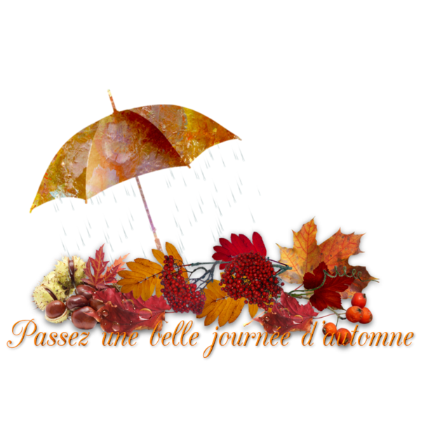 mon tube mot pour l'automne