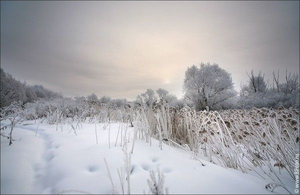 Paysage de neige