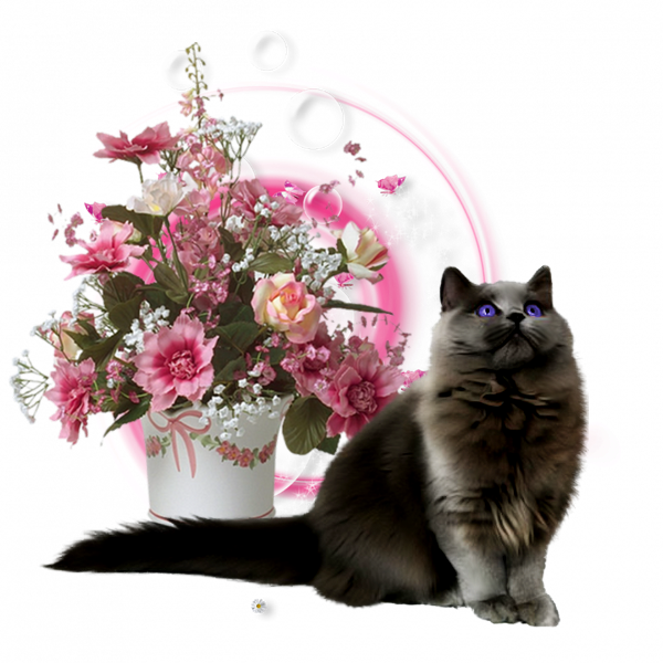 mon tube chat avec fleurs pour vos créas