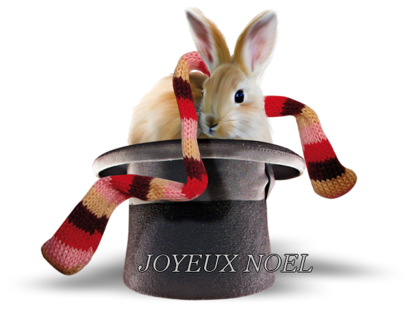 joyeux noél