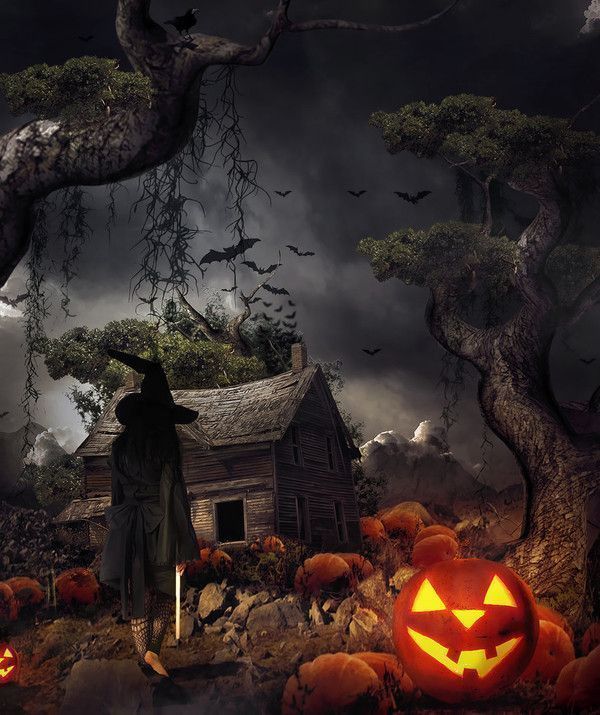 belle image d'halloween