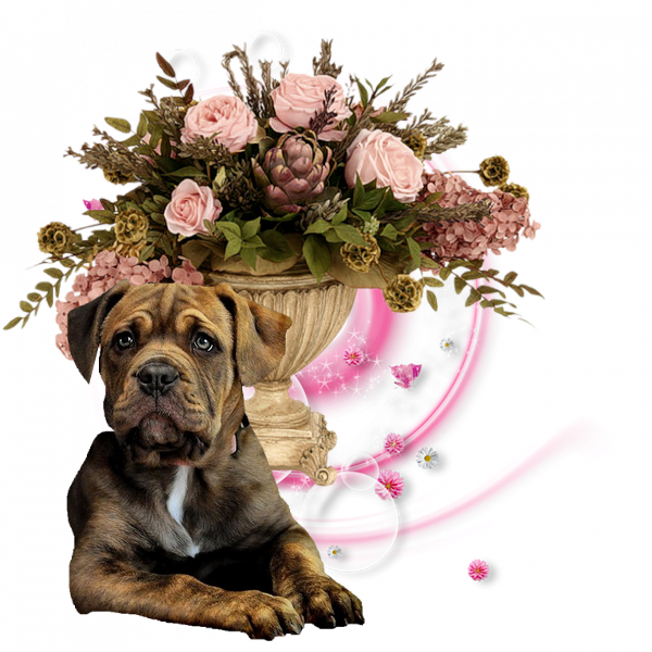 mon tube chien avec fleurs pour vos créas