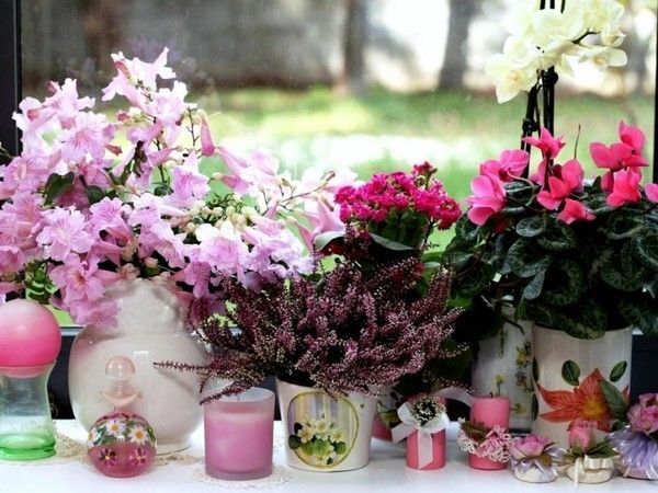 bouquets de fleurs dans petits pots