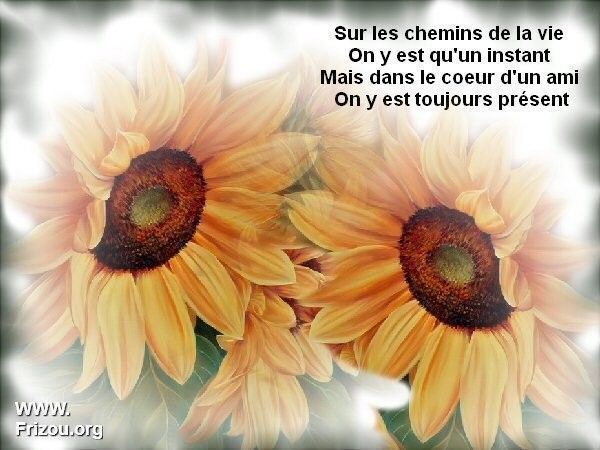 citation