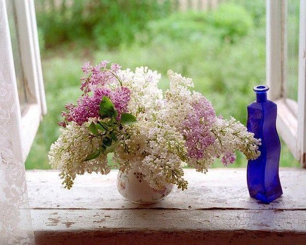 joli bouquet de fleurs