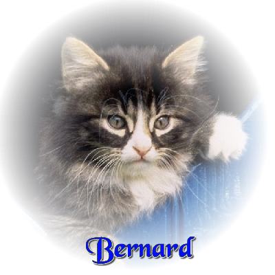 bernard