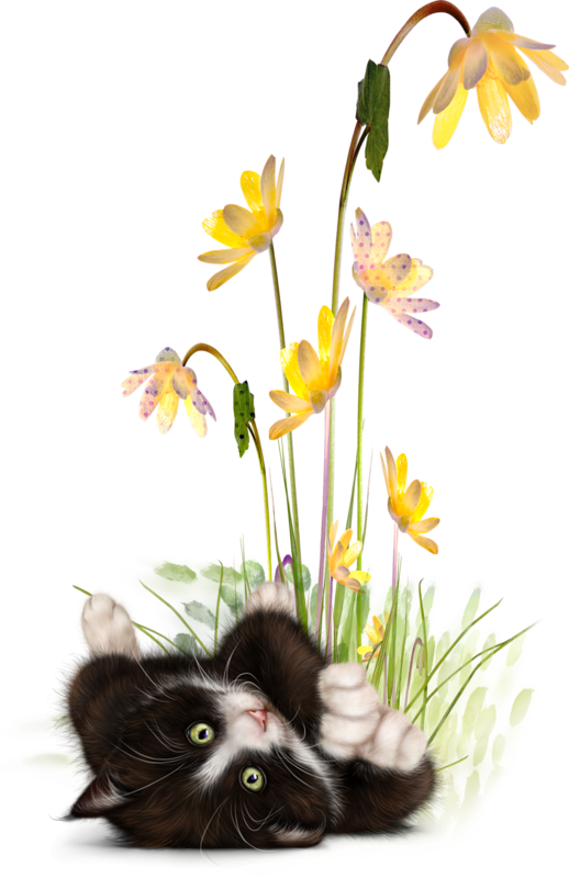 mon tube chat avec fleurs pour vos créas