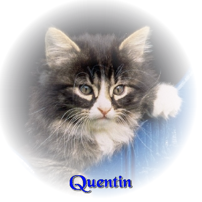 quentin