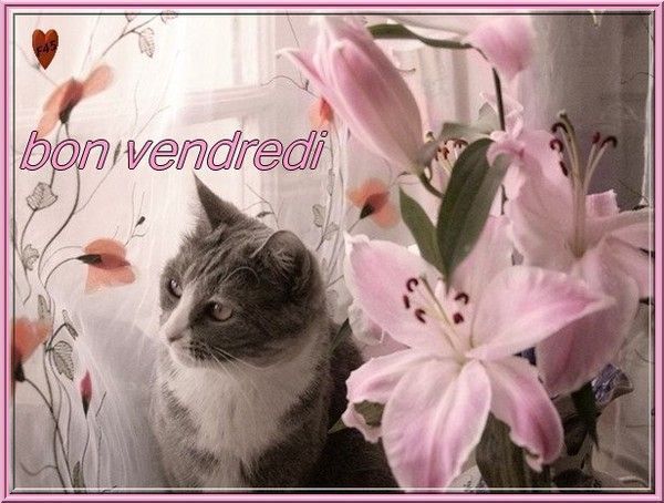 bon vendredi