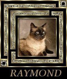 raymond