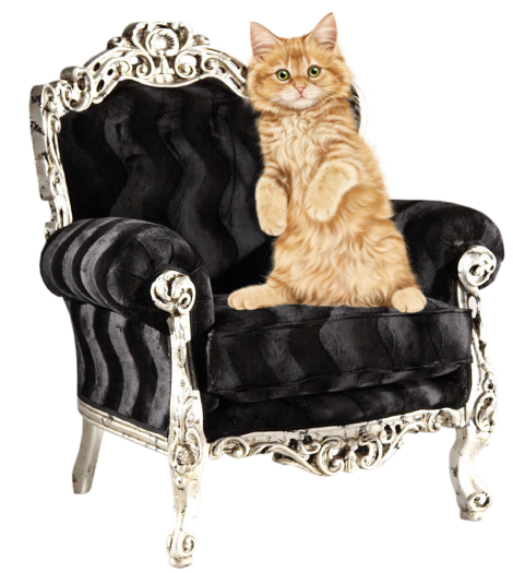 mon tube chat sur fauteuil pour vos créas