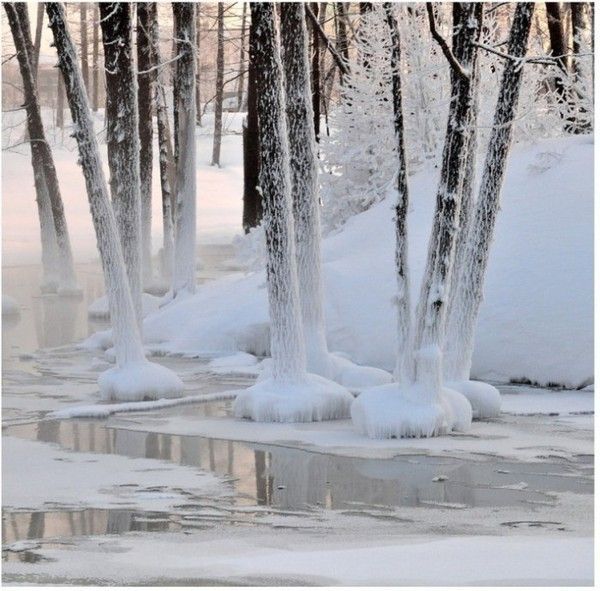 Paysage de neige